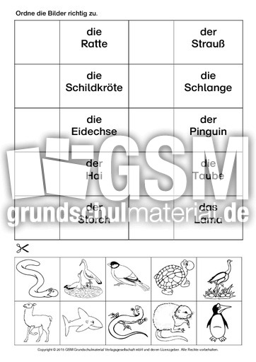 AB-DAZ-Tiere-zuordnen-9.pdf